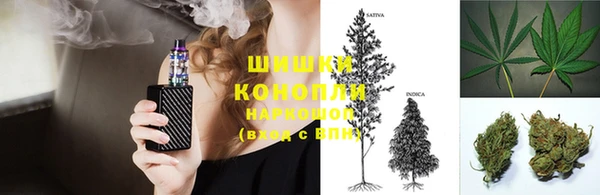 дживик Богородск