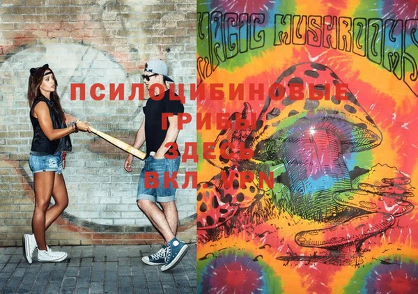 дживик Богородск