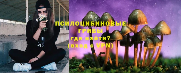 соль ск Беломорск